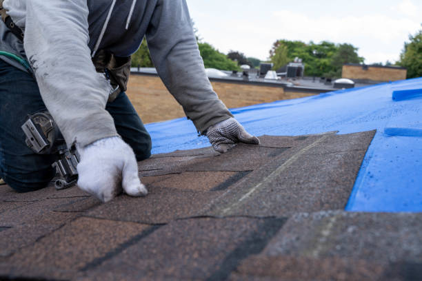 Best Roof Waterproofing Services  in North Apollo, PA