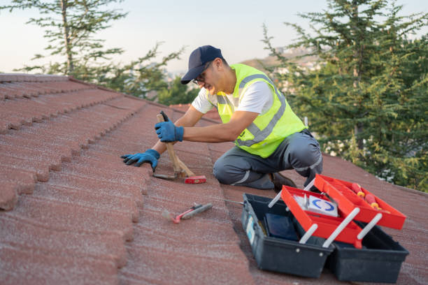Best Roof Repair Services  in North Apollo, PA